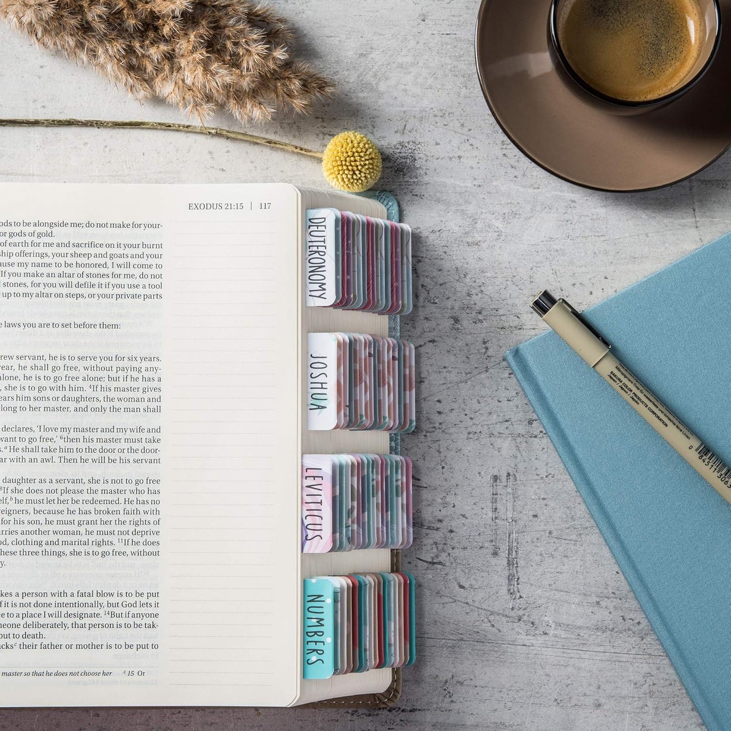 Beautiful Bible Tabs Guest